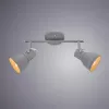 
Потолочный светильник Arte Lamp A1677PL-2GY Jovi
